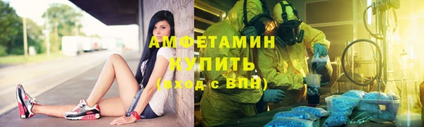 сатива Абаза