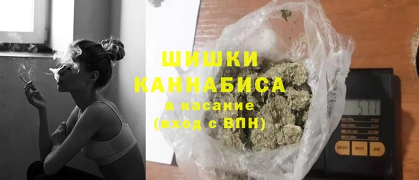 сатива Абаза