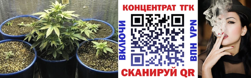 где можно купить   Касли  ТГК гашишное масло 